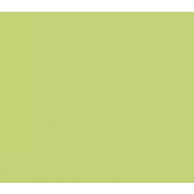 CORALAR VERDE LIMAO ACRILICO FOSCO CO2 - LATA 18L