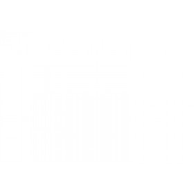 DIRETO GESSO BRANCO NEVE CORAL - GALAO 3,6L