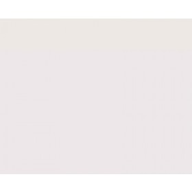 ESMALTE SINTETICO BRILHANTE GELO CORALIT  - GALAO