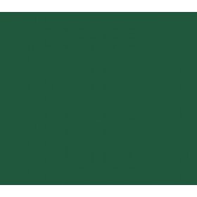 ESMALTE SINTETIVO BRILHANTE VERDE COLONIAL CORALIT  - 900ML