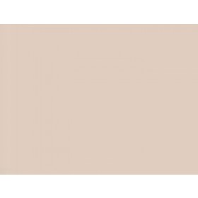 ESMALTE SINTETICO BRILHANTE CAMURCA CORALIT  - GALAO